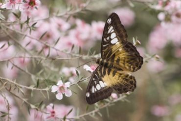 Do you still feel the butterflies in your stomach?