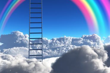 career ladder to nowhere