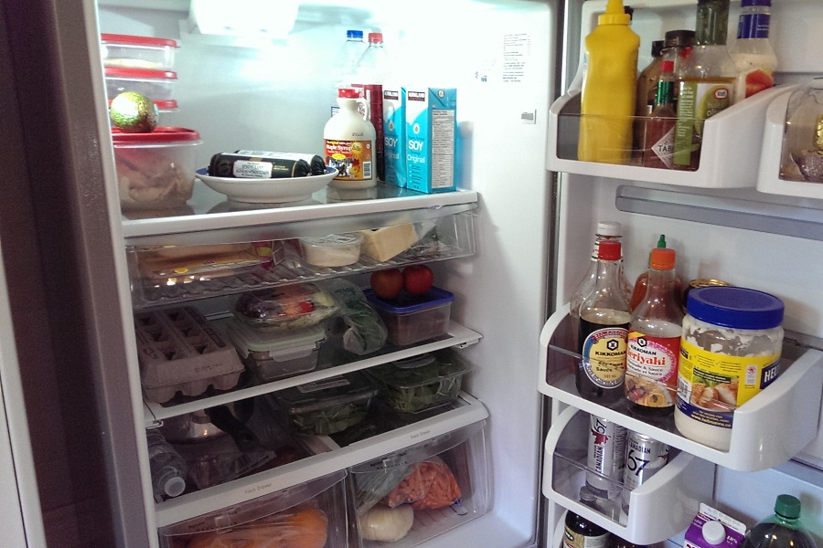 Frigidaire lunch packer fridge