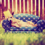 Is Summer Over Yet? - BluntMoms.com